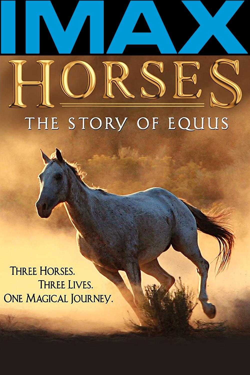 Постер Horses: The Story of Equus